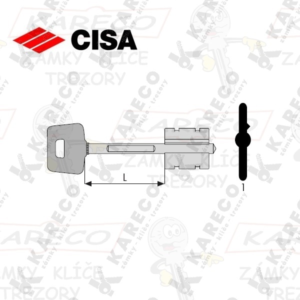  | CISA 00163-00-1